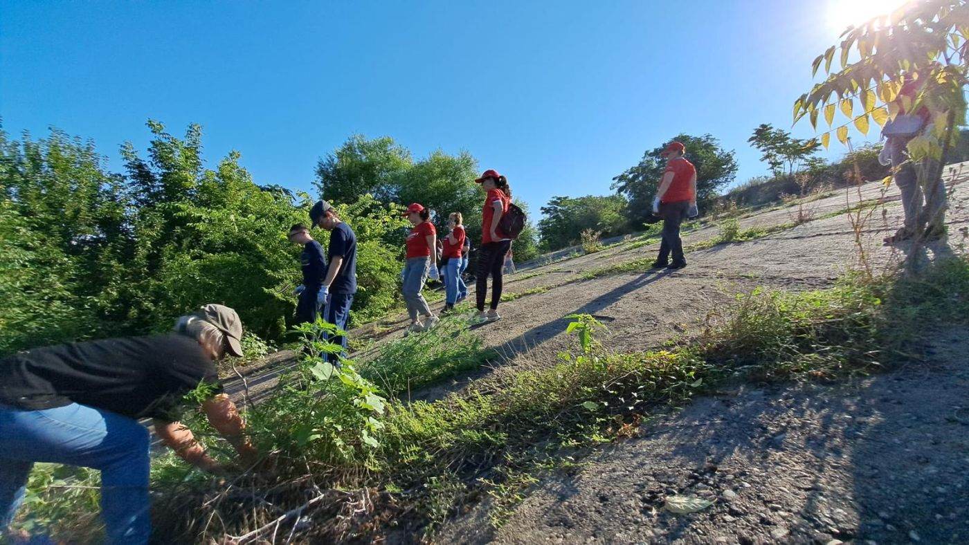 Ultima fereastră înainte de polen: voluntarii au scos ambrozia din Parcul Natural Văcăreşti